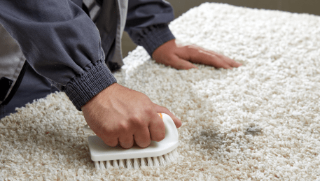 Professional Rug Cleaning Hopetoun